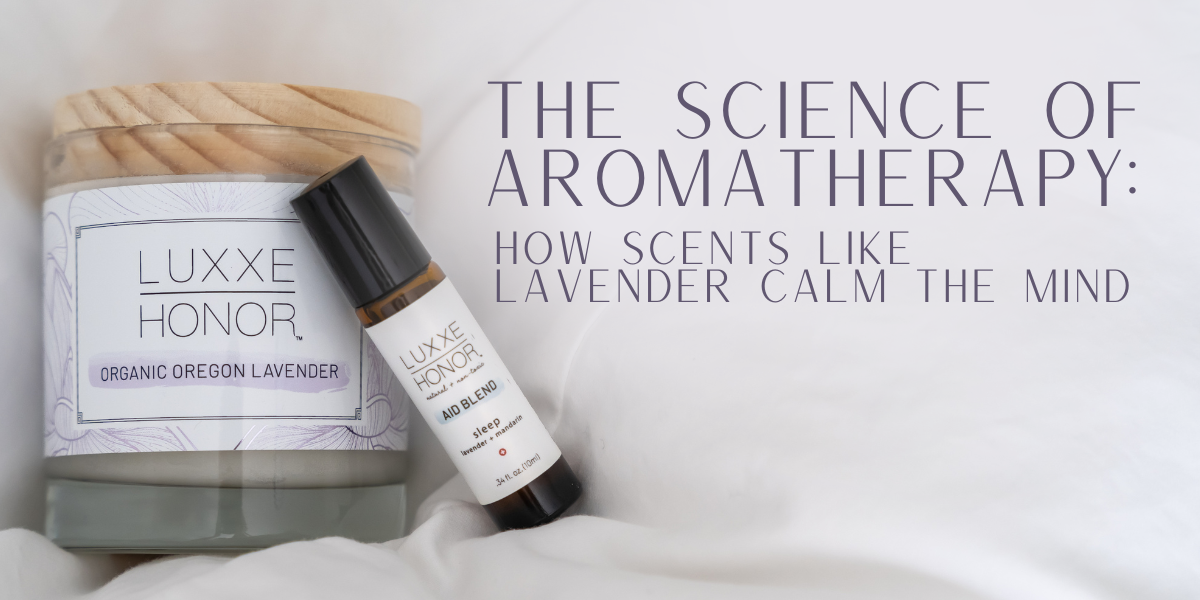 The Science of Aromatherapy: How Scents Like Lavender Calm the Mind