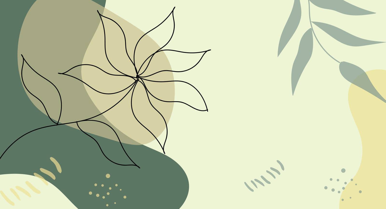 The Power of Plant-Based Beauty products