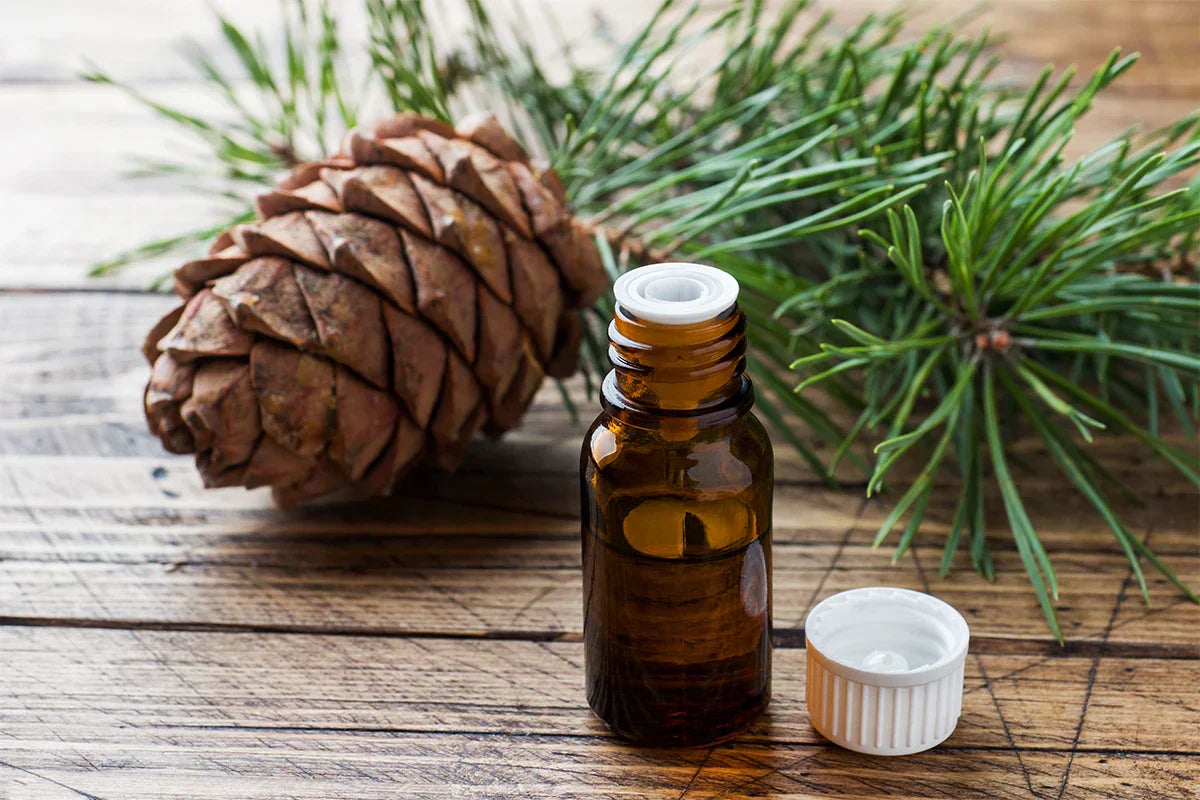 The Power of Plant-Based Essential Oils During Cold and Flu Season